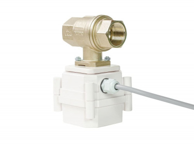 картинка Кран с электроприводом 1" 220v  Gidrolock  ULTIMATE BONOMI от магазина San-House.ru
